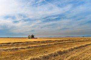ODLUKA O DODJELI POTPORA MALE VRIJEDNOSTI PO JAVNOM POZIVU  ZA DODJELU POTPORA ZA 2019. GODINU IZ PROGRAMA POTPORA U POLJOPRIVREDI I  RURALNOM RAZVOJU