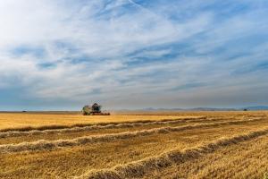 OBAVIJEST PODNOSITELJIMA PRIJAVA NA JAVNI POZIV ZA DODJELU POTPORA ZA 2019. GODINU IZ PROGRAMA POTPORA U POLJOPRIVREDI I RURALNOM RAZVOJU NA PODRUČJU GRADA ĐAKOVA ZA RAZDOBLJE OD 2018. - 2020. GODINE